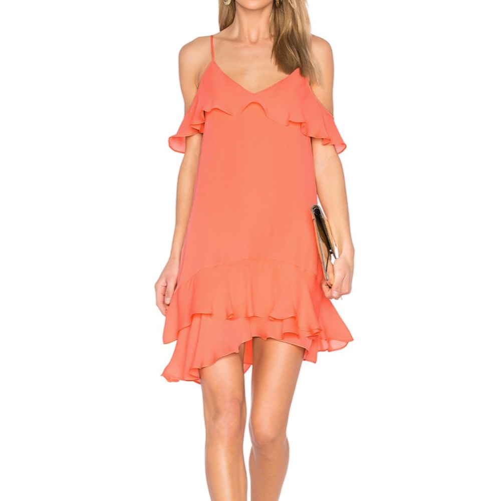 Parker Thatcher dress